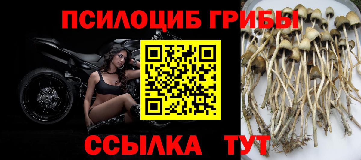 MDMA  COCAIN  Каннабис  Меф МЯУ МЯУ кристаллы  Кетамин  НБОМе  Вход с VPN  Норильск  ГАШ 